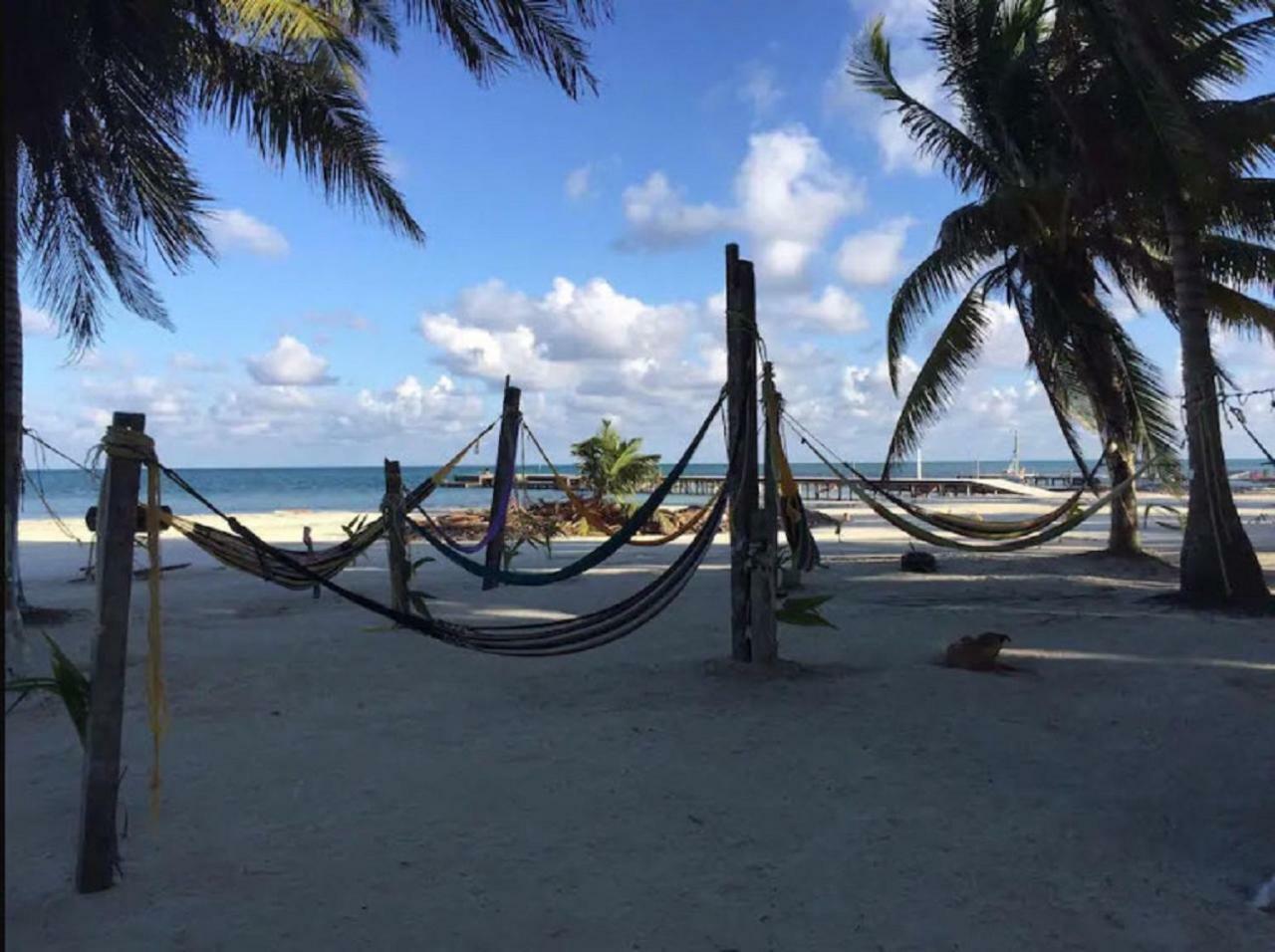 Caye Caulker Beach Hotel מראה חיצוני תמונה